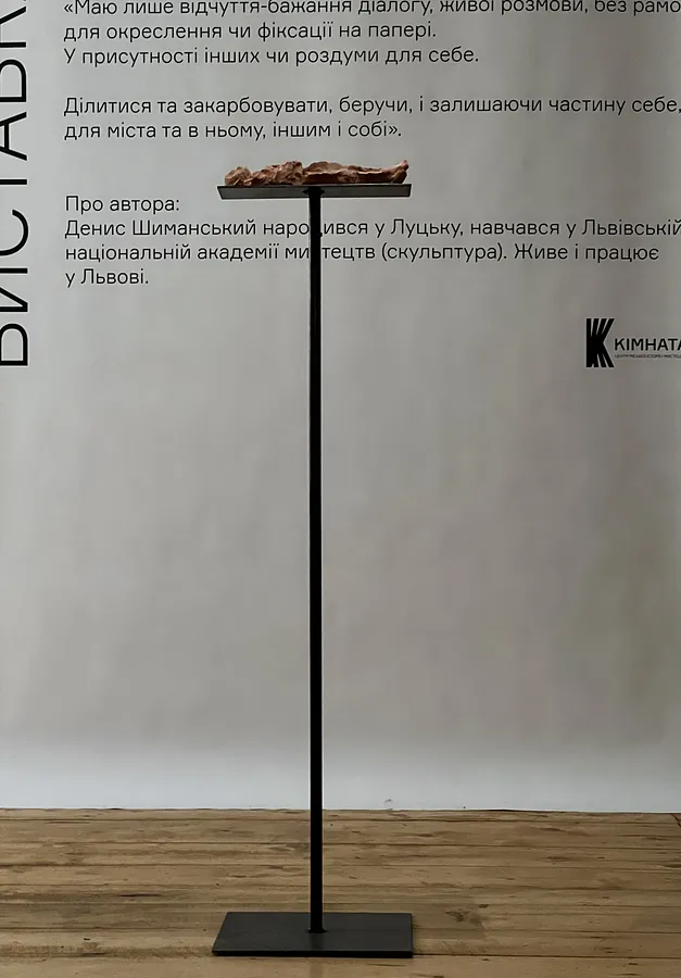 Imagen de 7 de Denys Shymanskyi
