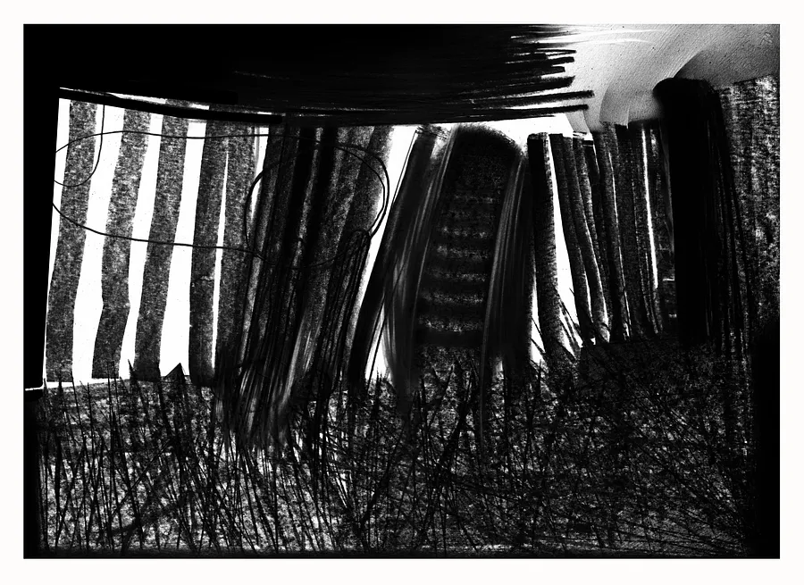 Зображення "Спальнік або паркан" від євген григор'єв, розмір: А3, матеріали: папір, графіт, місто: Львів