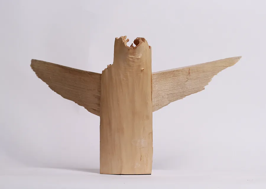 Imagen de alado de Denys Shymanskyi, tamaño: 50х35х25, hecho de madera, medio Escultura, de львів, con un precio de $500