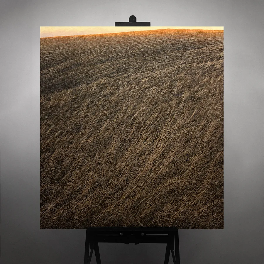 Obraz To the light autorstwa Oleh Dron, rozmiar: 110х100 cm, wykonany z Canvas, acrylic, medium Original artworks, z Lviv, Ukraine