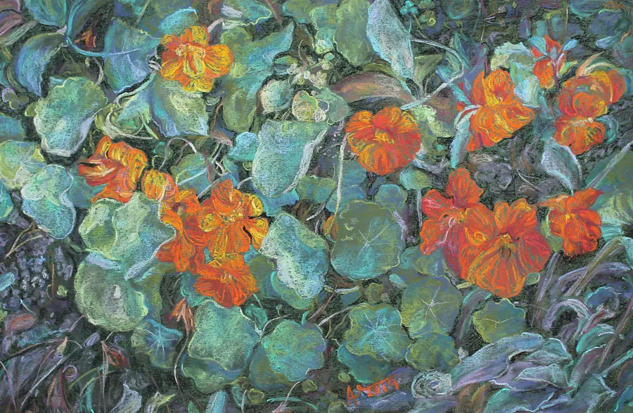 Image of 13 by Адріана Громнюк