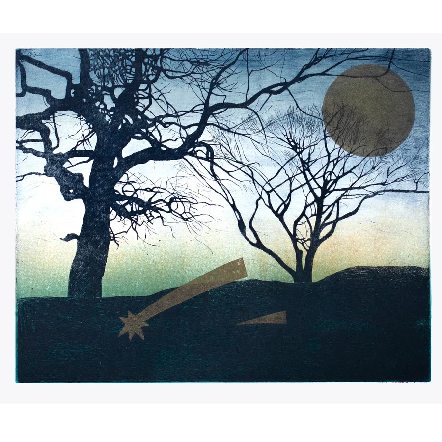 Image of Garden at night by Stratiychuk Oksana, size: 30 х 37 см, made of etching, Graphics medium, priced at $300
