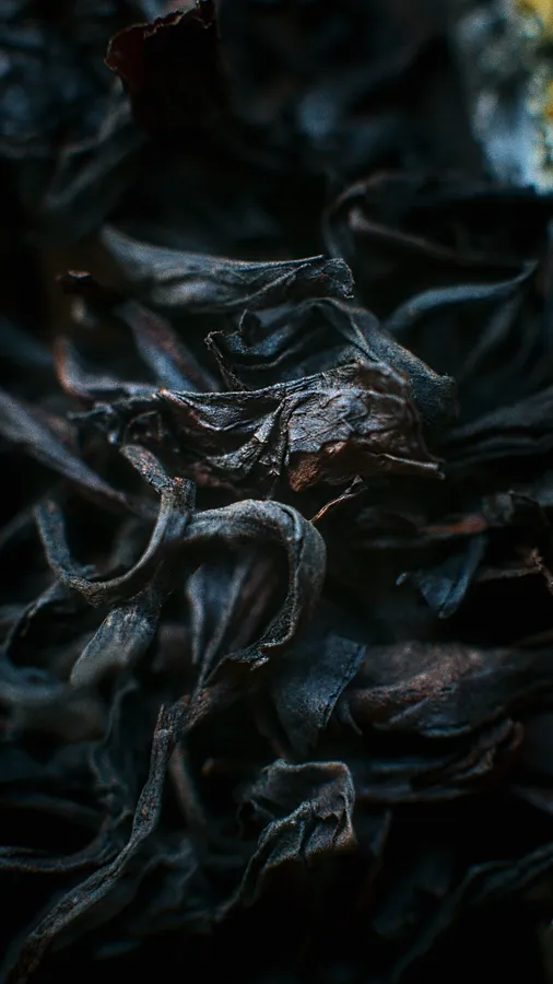 Imagen de Те Лохань «Залізний архат» de tea.satori, medio Чай , parte de la serie Темний улун, con un precio de ₴75