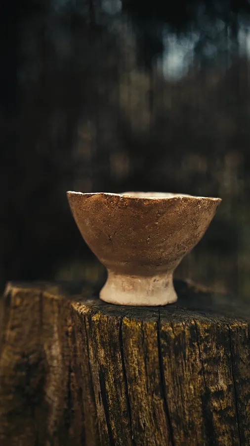 Imagen de ваза №2 de tea.satori, medio Вази та кензани, parte de la serie Вази, con un precio de ₴980