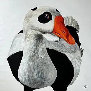 Image de Panda goose par Ivanka Nechyporyk
