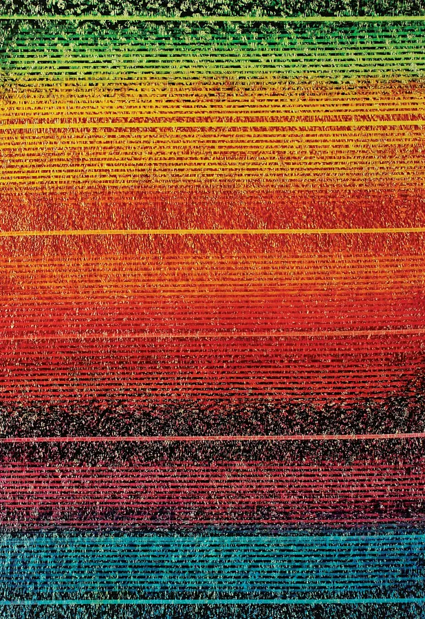 Immagine di Cosmology — Unknown Worlds 1 — "Presence" Series di Maryan Besaga, dimensioni: 110 х 80 см, materiali: пастель, папір, medium: Graphics, città: Укарїна, serie: PRESENCE, prezzo: $3500
