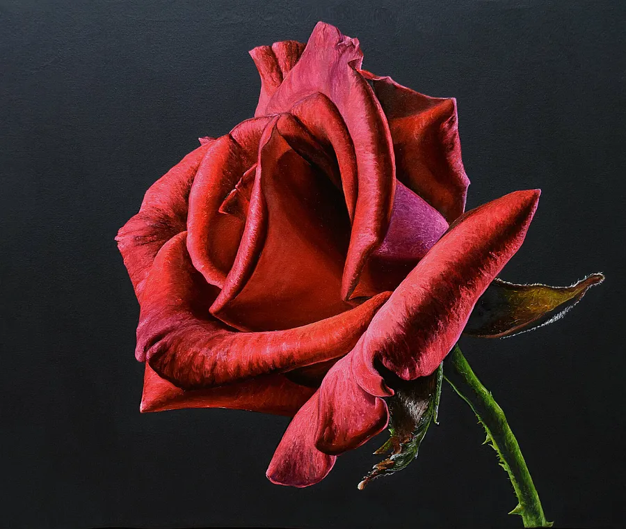 Immagine di Red Rose di Elena Adele Dmitrenko, serie: Still Life
