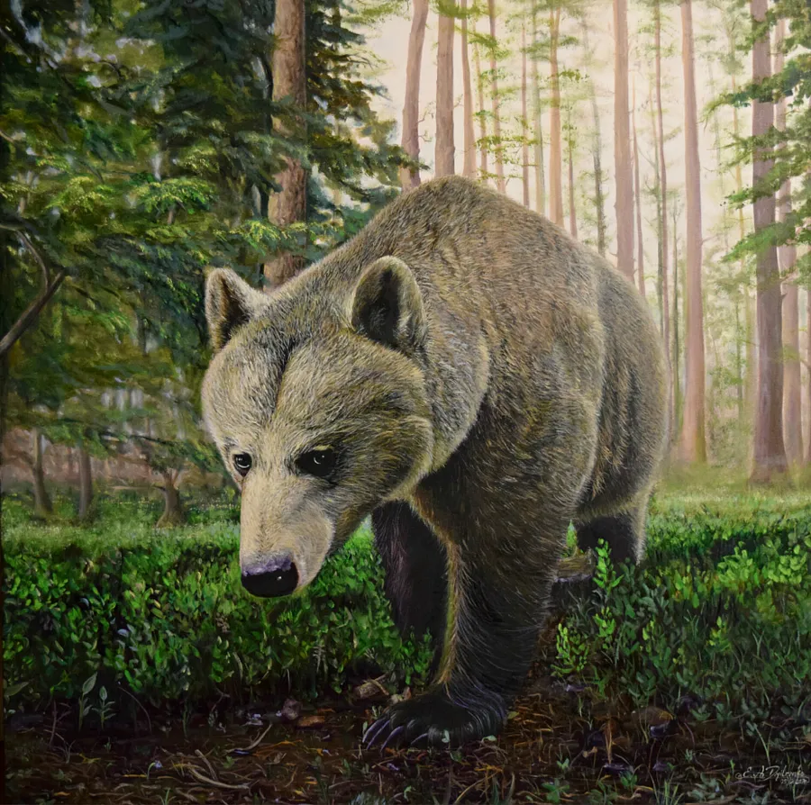 Immagine di Bear di Elena Adele Dmitrenko, serie: Animals & Birds