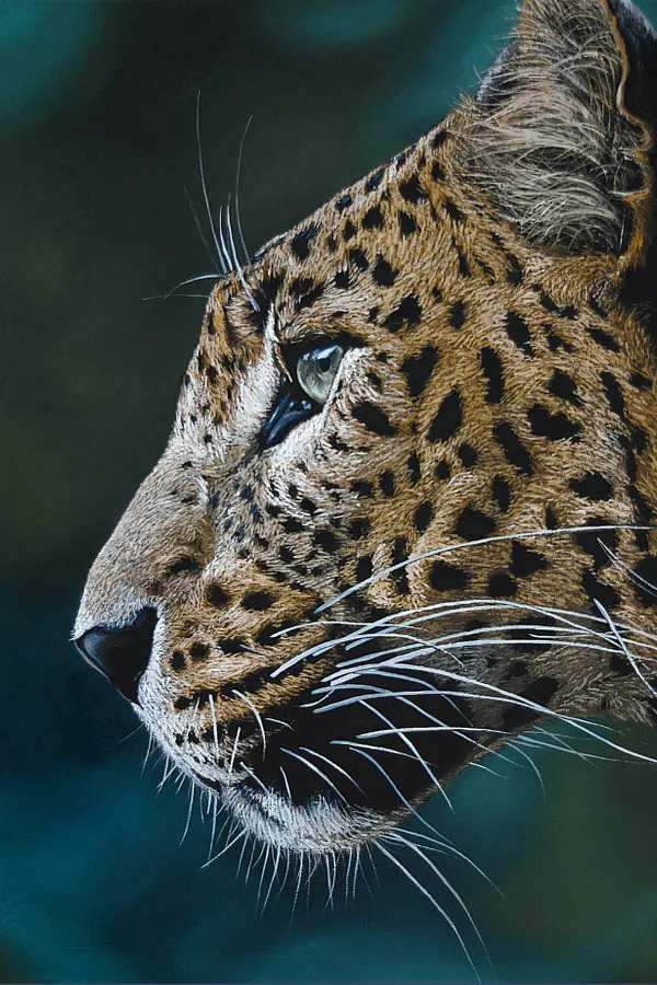 Immagine di Leopard di Elena Adele Dmitrenko, serie: Animals & Birds