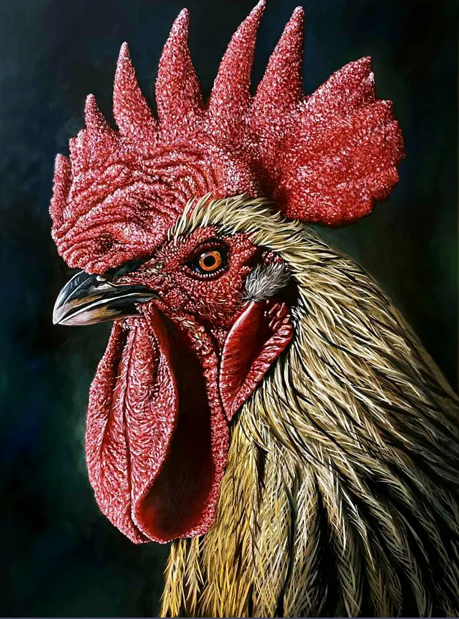 Immagine di Rooster di Elena Adele Dmitrenko, serie: Animals & Birds