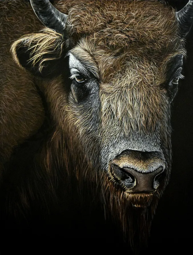 Immagine di Bizon di Elena Adele Dmitrenko, serie: Animals & Birds, prezzo: $4500