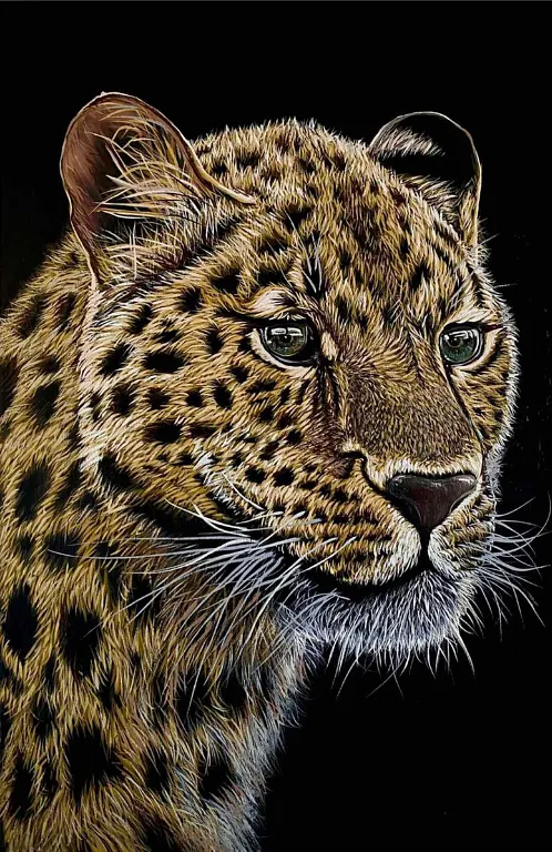 Immagine di Leopard di Elena Adele Dmitrenko, serie: Animals & Birds