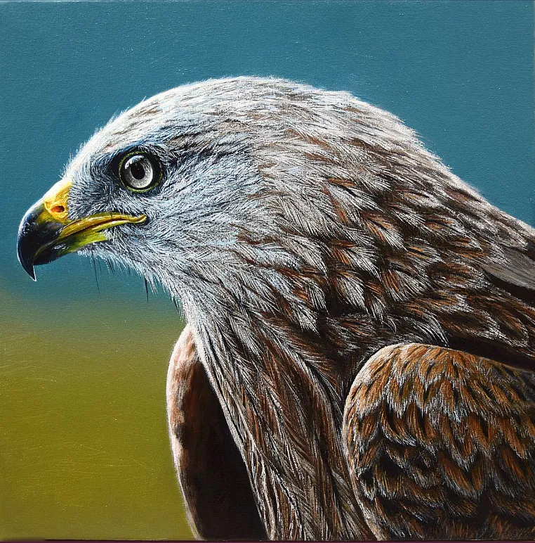 Immagine di Eagle di Elena Adele Dmitrenko, serie: Animals & Birds