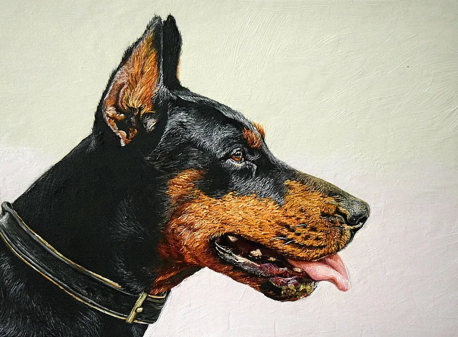 Imagen de Doberman de Elena Adele Dmitrenko, parte de la serie Animales, con un precio de €1200