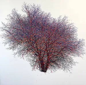 Bild von 250 von Andrii Aksiutov