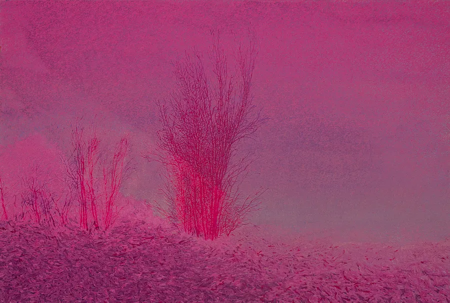 Bild von 76 von Andrii Aksiutov