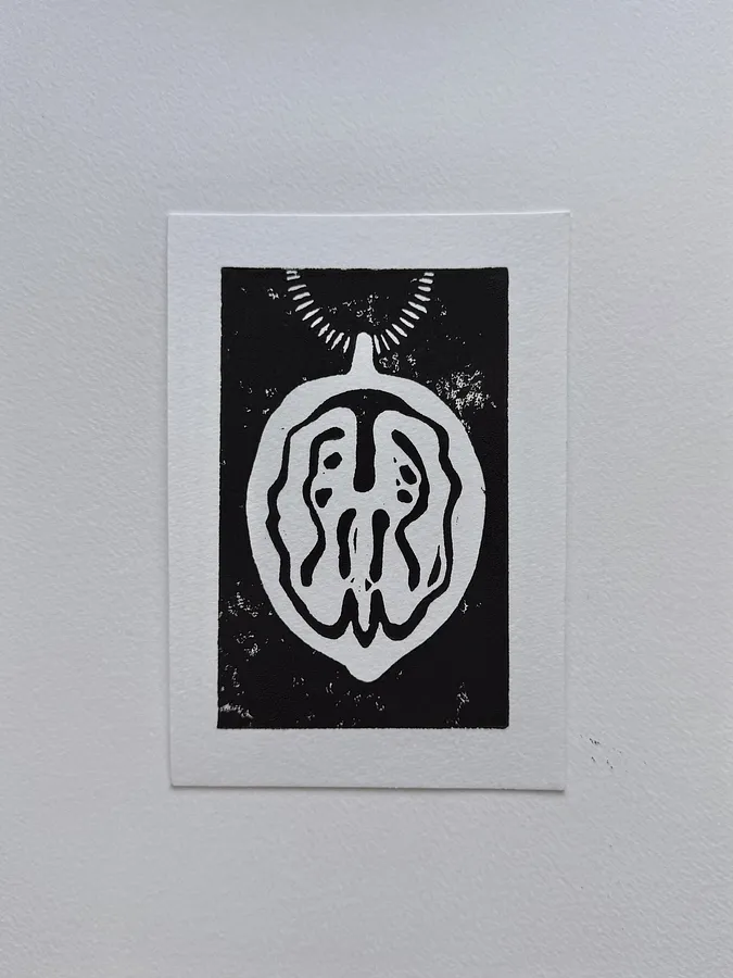 Image of Walnut by Adriana Shportan
