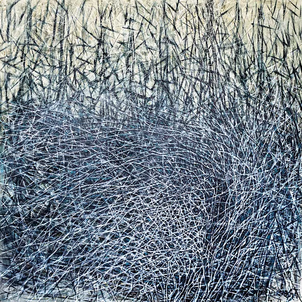 Immagine di Nest 1 di Liudmyla Davydenko, dimensioni: 140x140, materiali: oil/canvas, medium: Pittura, serie: Isolines, prezzo: €3000