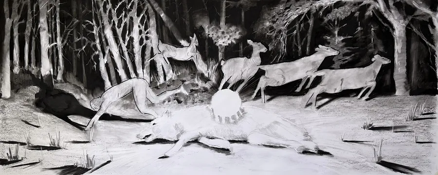 Image of Koliada by kohinooooooooooooor, size: 220 x 90 см | 86.6 x 35.4 in, made of Charcoal on paper, Graphics medium, from Kyiv, part of the Sun series, priced at €500