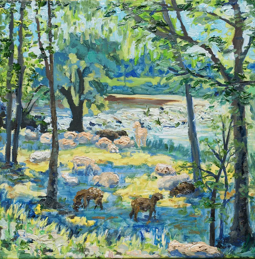 Bild von Schafe grasen in der Nähe der Donaustromschnellen von Karina Semenyuk, Größe: 40 x 40, hergestellt aus Oil on canvas, Paintings Medium, aus Riedlingen, Germany, Teil der Summer 2025 Serie, zum Preis von €300