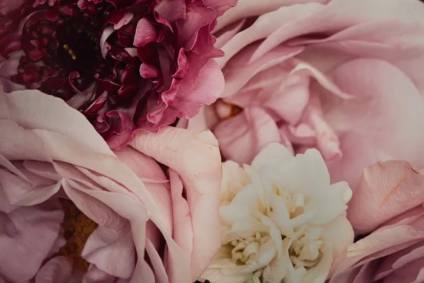 Image of Flowers by Romanna P.