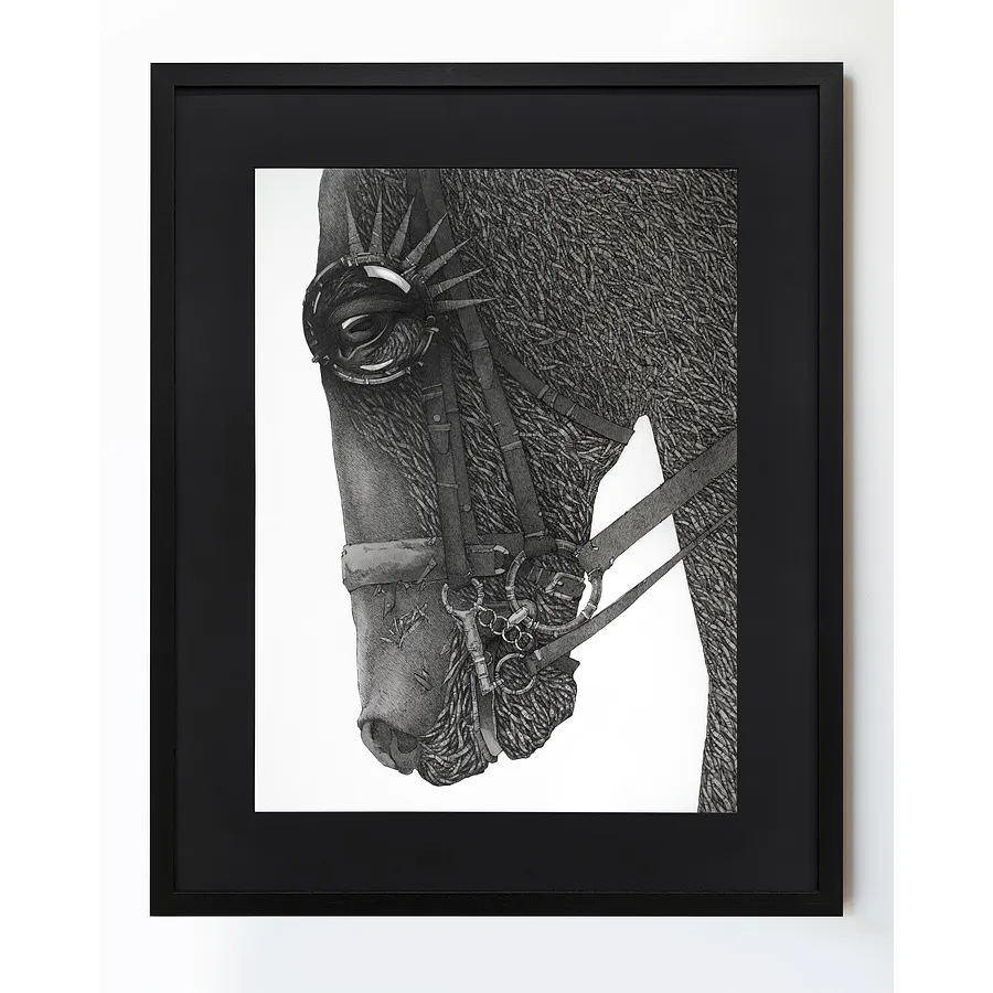 Imagen de Мислитель | Thinker de Oleksandr Makohon, tamaño: 100 x 80 cm, hecho de туш, папір | ink, paper, medio Живопис, parte de la serie Horses, con un precio de $1000 (≈ 44,831 грн)
