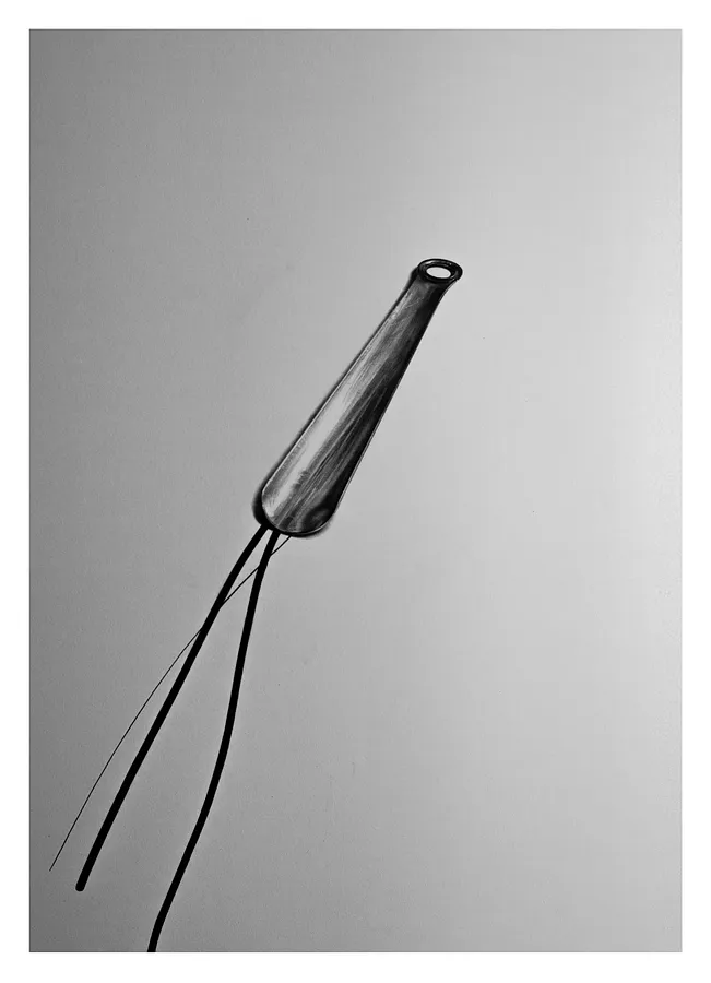 Image de ложка для взуття par євген григор'єв, médium Графіка, faisant partie de la série "Підмети і присудки", au prix de €500