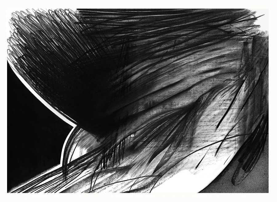 Image de 16 par євген григор'єв, taille : А3, médium Графіка, faisant partie de la série "Чорне,сіре, біле", au prix de €300